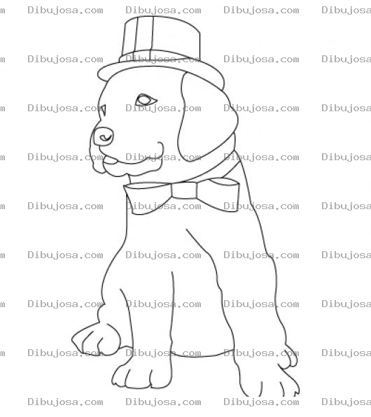 Dibujo para colorear Perro Con Sombrero Y Corbatin Para Pintar Y Colorear