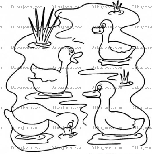 Dibujo para colorear Dibujo De Patos En Estanque Para Pintar Y Colorear