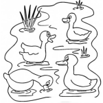 Dibujo para colorear Dibujo De Patos En Estanque Para Pintar Y Colorear