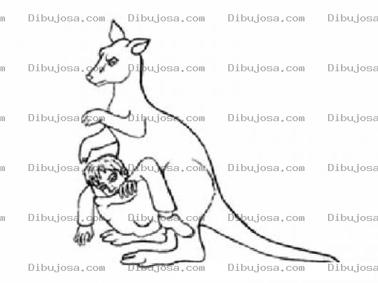 Dibujo para colorear Dibujo De Nino Secuestrado Por Un Canguro Para Pintar Y Colorear