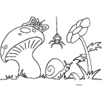 Dibujo para colorear Dibujo De Animalitos E Insectos Silvestres Para Pintar Y Colorear Mariposa Arana Caracol Y Gusano Con Un Hongo Y Una Flor