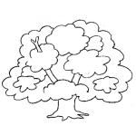 Dibujo para colorear Dibujo De Ceiba Frondosa Para Pintar Y Colorear