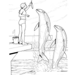 Dibujo para colorear Show De Delfines Para Pintar Y Colorear
