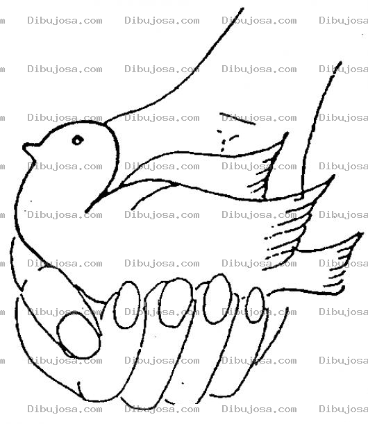 Dibujo para colorear Dibujo De Una Palomita En La Mano Para Pintar Y Colorear Nino Con Paloma En Mano