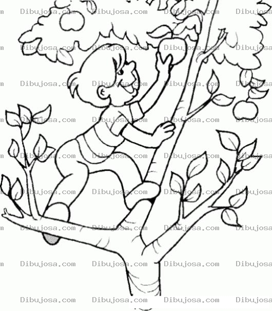 Dibujo para colorear Manzanas Rojas Dibujo De Nino Cortando Manzanas De Un Manzano Para Pintar Y Colorear