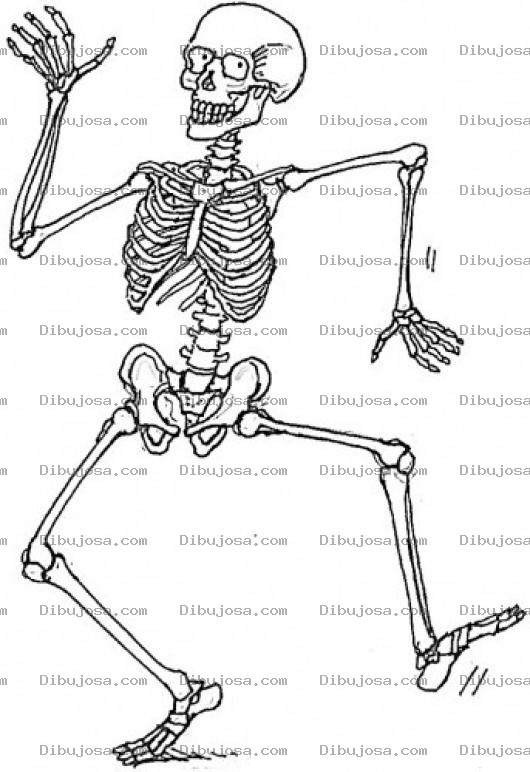 Dibujo para colorear Aqui Esta Tu Son Chabela Dibujo De Calabera Bailando Para Pintar Y Colorear A La Calaca De Tu Son Chavela