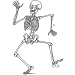 Dibujo para colorear Aqui Esta Tu Son Chabela Dibujo De Calabera Bailando Para Pintar Y Colorear A La Calaca De Tu Son Chavela