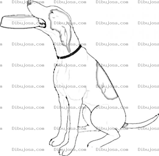 Dibujo para colorear Hambre De Perro Dibujo De Perrito Hambriento Pidiendo Comida Con Su Plato En El Hocio Para Pintar Y Colorear Chucho Con Hambre