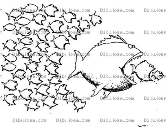 Dibujo para colorear Dibujo Del Paradigma Del Pez Grande Se Come Al Chico Para Pintar Y Colorear La Union Hace La Fuerza