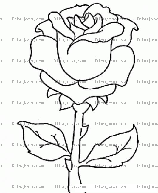 Dibujo para colorear El Amor De Una Rosa Que Jamas To Comprendi Le Entregue To Mi Amor Y Ahora Para Pintar Y Colorear