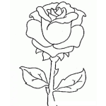 Dibujo para colorear El Amor De Una Rosa Que Jamas To Comprendi Le Entregue To Mi Amor Y Ahora Para Pintar Y Colorear