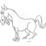 Dibujo para colorear Dentadura De Caballo Dibujo D Eun Caballo Con Dientes Brillantes Grandes Sanos Y Fuertes Para Pintar Y Colorear
