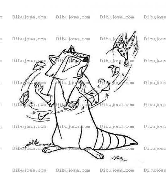 Dibujo para colorear Dibujo De Un Mapache Con Un Colibri Para Pintar Y Colorear Mapachito Con Pajarito
