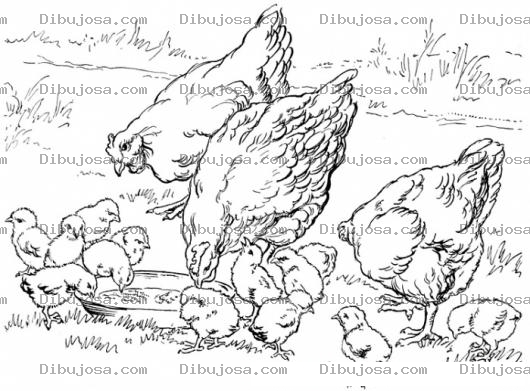 Dibujo para colorear Dibujo De Una Granja De Gallinas Y Pollitos Comiendo Para Pintar Y Colorear