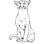 Dibujo para colorear Panteragalea Colorear Dibujo De Pantera Galea De Peru En Honor A Jonhnny