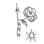 Dibujo para colorear Flor De Mayo Para Pintar