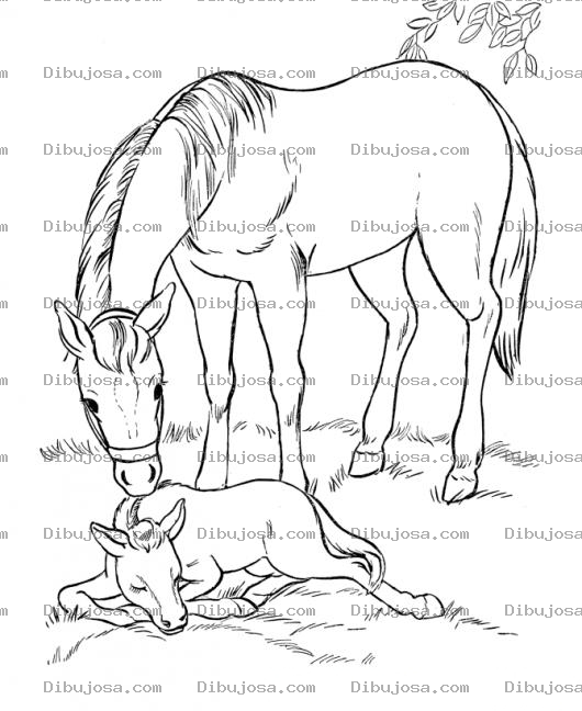 Dibujo para colorear Dibujo De Yegua Con Su Potrillo Para Pintar Y Colorear Mama Caballa