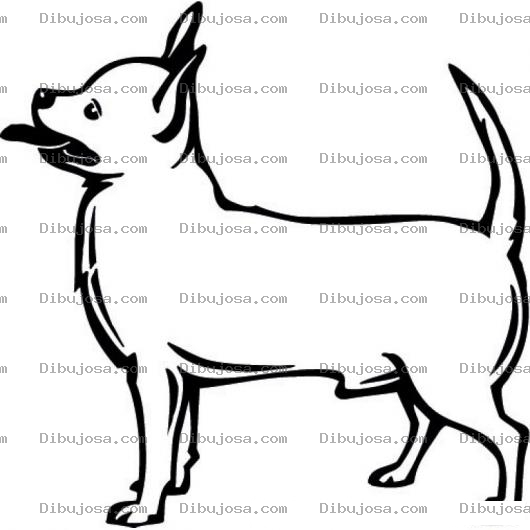 Dibujo para colorear Chiguaguita Macho Dibujo De Perrito Chiguagua Para Pintar Y Colorear Perro De Quiero Taco