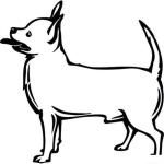 Dibujo para colorear Chiguaguita Macho Dibujo De Perrito Chiguagua Para Pintar Y Colorear Perro De Quiero Taco
