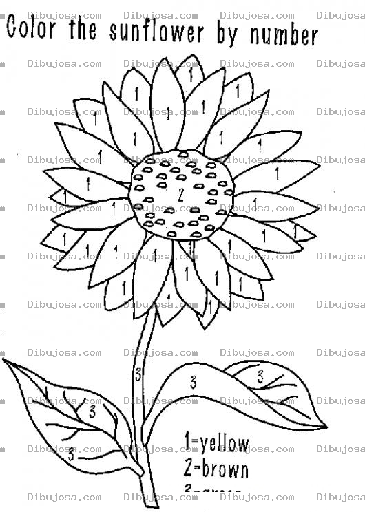 Dibujo para colorear Pintar Por Numeros Dibujo De Un Girasol De Tres Colores 1amarillo 2cafe Y 3verde