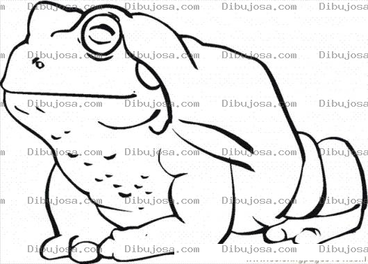Dibujo para colorear Sapohorroroso Dibujo De Un Sapo Feo Y Horroroso Para Pintar Y Colorear Sapo Desagradable