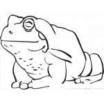 Dibujo para colorear Sapohorroroso Dibujo De Un Sapo Feo Y Horroroso Para Pintar Y Colorear Sapo Desagradable