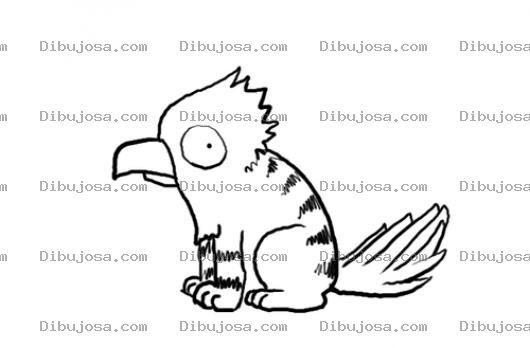 Dibujo para colorear Gatoperico Dibujo De Gato Con Cabeza De Loro Para Pintar Y Colorear Pericogato Gatoloro Lorogato