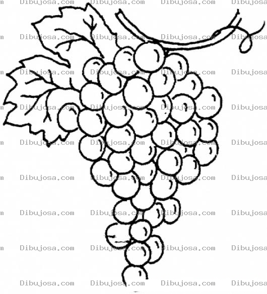 Dibujo para colorear Colorear Racimo de Uvitas