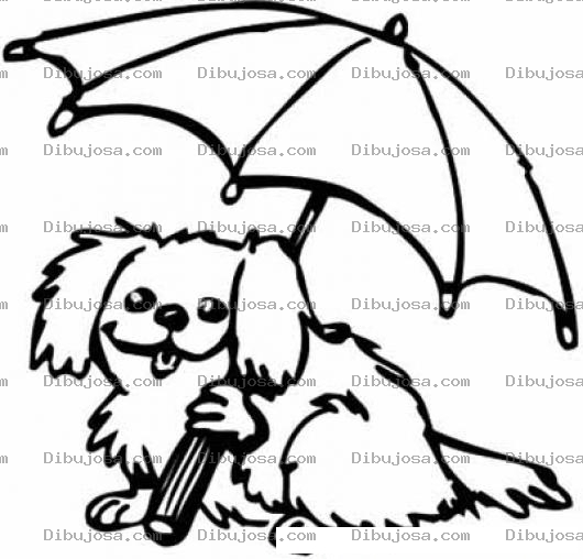 Dibujo para colorear Perro Con Paraguas Para Colorear