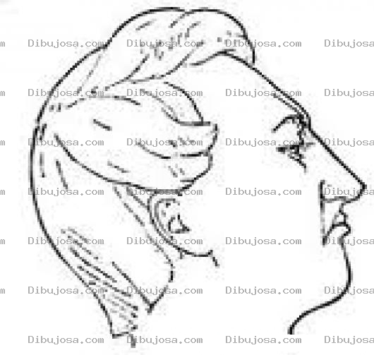 Dibujo para colorear Cara De Creido Y Orgulloso Para Pintarbt Colorear Mirada Altiva Y Desafiante Dibujo De Hombre Que No Cabe De Orgullo Mirando A Losdemas Sobre Los Hombros Para Pintar Y Colorear La Creidez Andando
