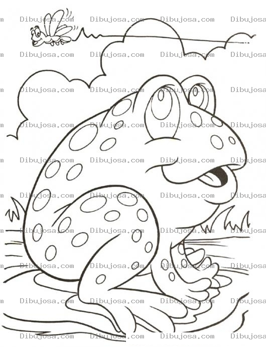 Dibujo para colorear Colorear Sapo Verde