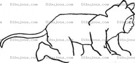 Dibujo para colorear Disfraz De Gato Para Colorear