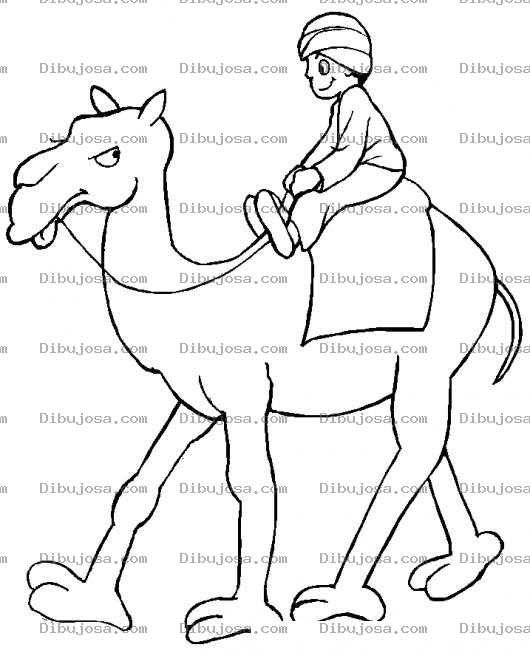 Dibujo para colorear Dibujo De Camello Enojado Llevando A Un Egipcio Con Turbante Sobre Su Lomo Para Pintar Y Colorear