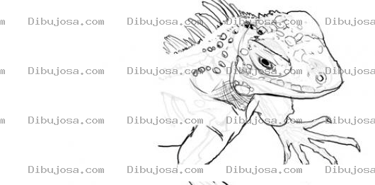 Dibujo para colorear Cara De Iguana Para Colorear