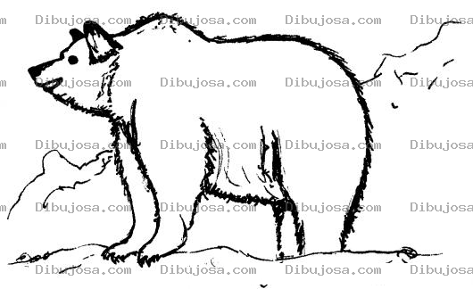 Dibujo para colorear Dibujo De Una Osa En Una Montana Para Pintar Y Colorear