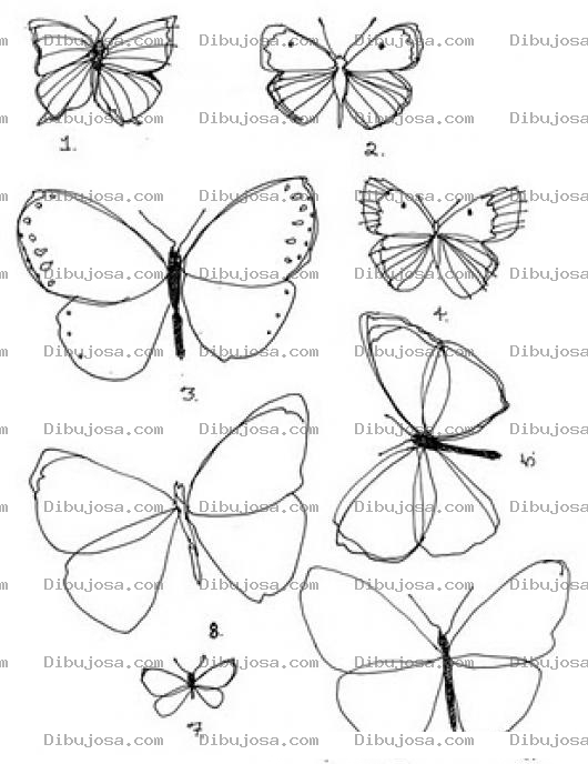 Dibujo para colorear Dibujo De Distintos Tipos De Mariposas Para Pintar Y Colorer