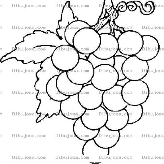 Dibujo para colorear Uvas Grandes Sin Semillar Para Pintar Y Colorear