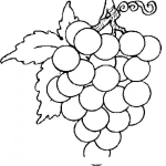 Dibujo para colorear Uvas Grandes Sin Semillar Para Pintar Y Colorear