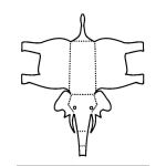 Dibujo para colorear Elefante 3d Para Recortar Pintar Y Colorear