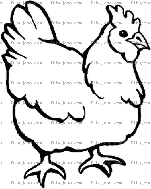 Dibujo para colorear Dibujo De Gallina Para Pintar Y Colorear