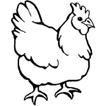 Dibujo para colorear Dibujo De Gallina Para Pintar Y Colorear