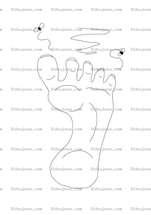 Dibujo para colorear Dibujo De La Planta De Un Pie Sucio Y Maloliente Con Moscas Para Pintar Y Colorear Un Pie Shuco Y Hedeondo