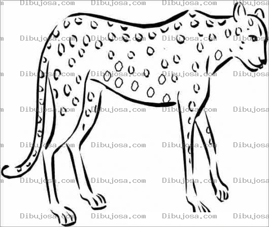Dibujo para colorear Colorear Hiena