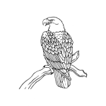 Dibujo para colorear Dibujo De Aguila Sobre Una Rama