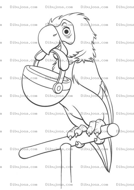 Dibujo para colorear Colorear Loro