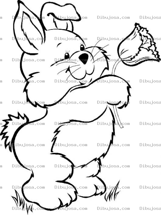 Dibujo para colorear Colorear Conejito Con Flor