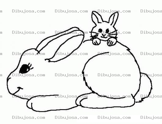 Dibujo para colorear Colorear Papa Conejo Con Su Hijo Conejito