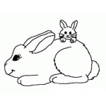 Dibujo para colorear Colorear Papa Conejo Con Su Hijo Conejito