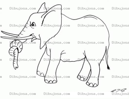 Dibujo para colorear Colorear Elefante Enojado Con Un Nudo En La Trompa