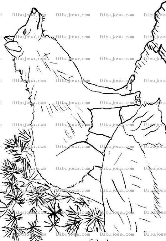 Dibujo para colorear Colorear Lobo En La Loma